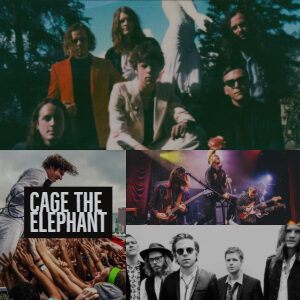 Cage The Elephant 3